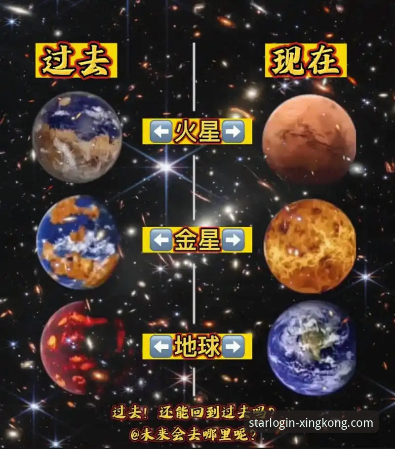 PC端与移动端：星空官网功能教程与体验深度对比
