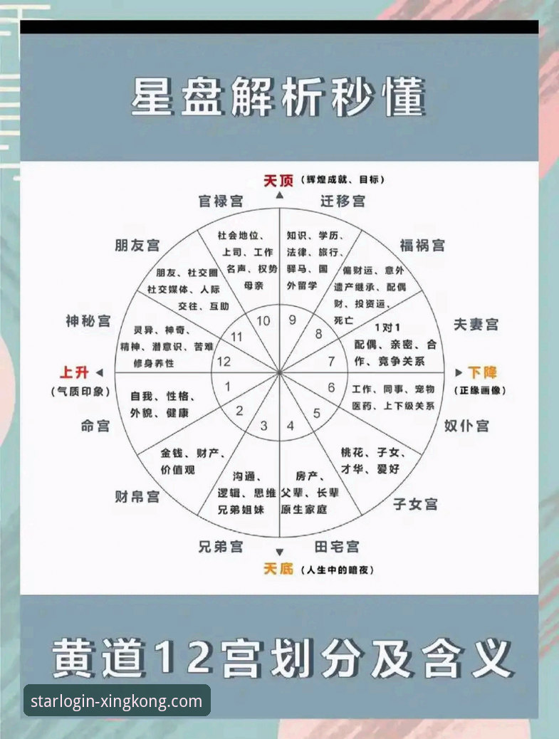 星空官网下载实用指南：从入门到精通必备知识