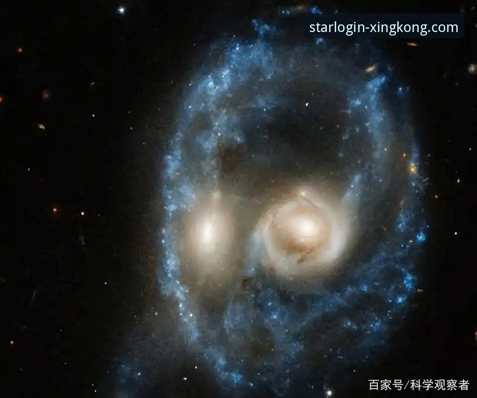 星空官网应用商店 资深行业观察者亲测:星空官网应用商店使用心得与趋势分析